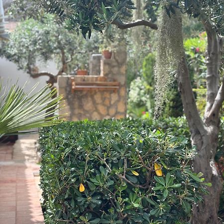 B&B Villa Alba San Vito Lo Capo Eksteriør billede