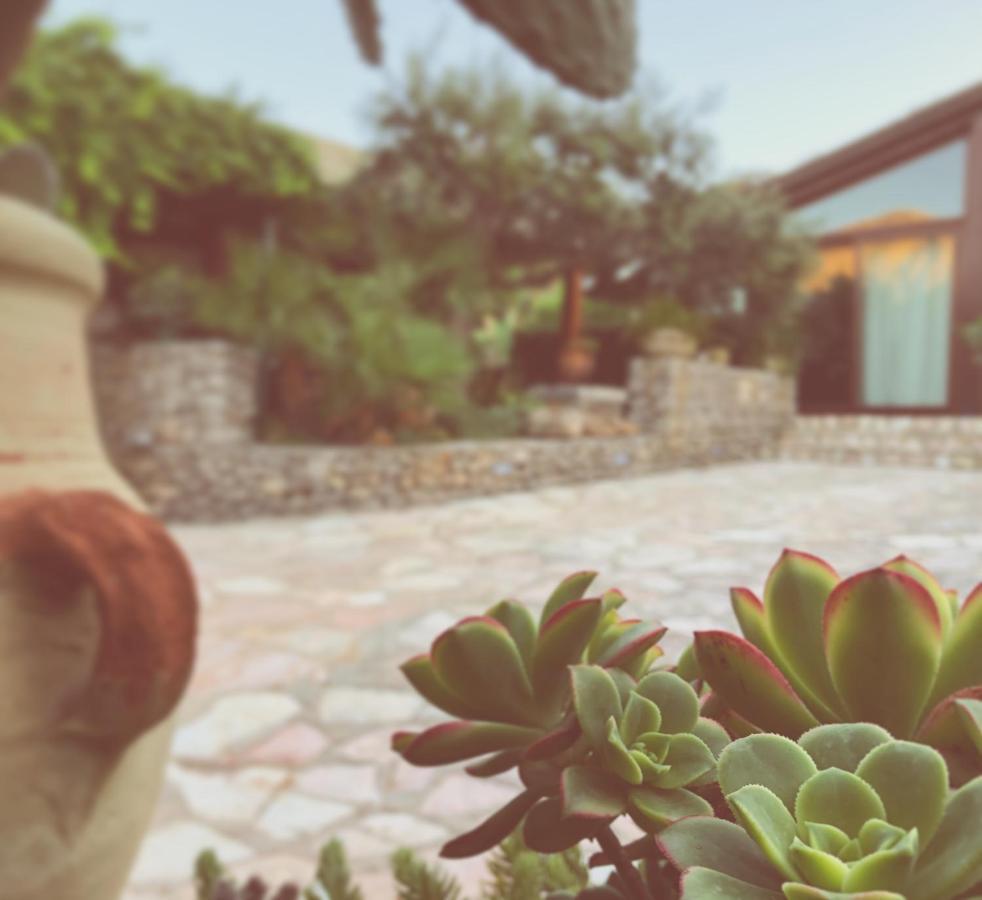 B&B Villa Alba San Vito Lo Capo Eksteriør billede