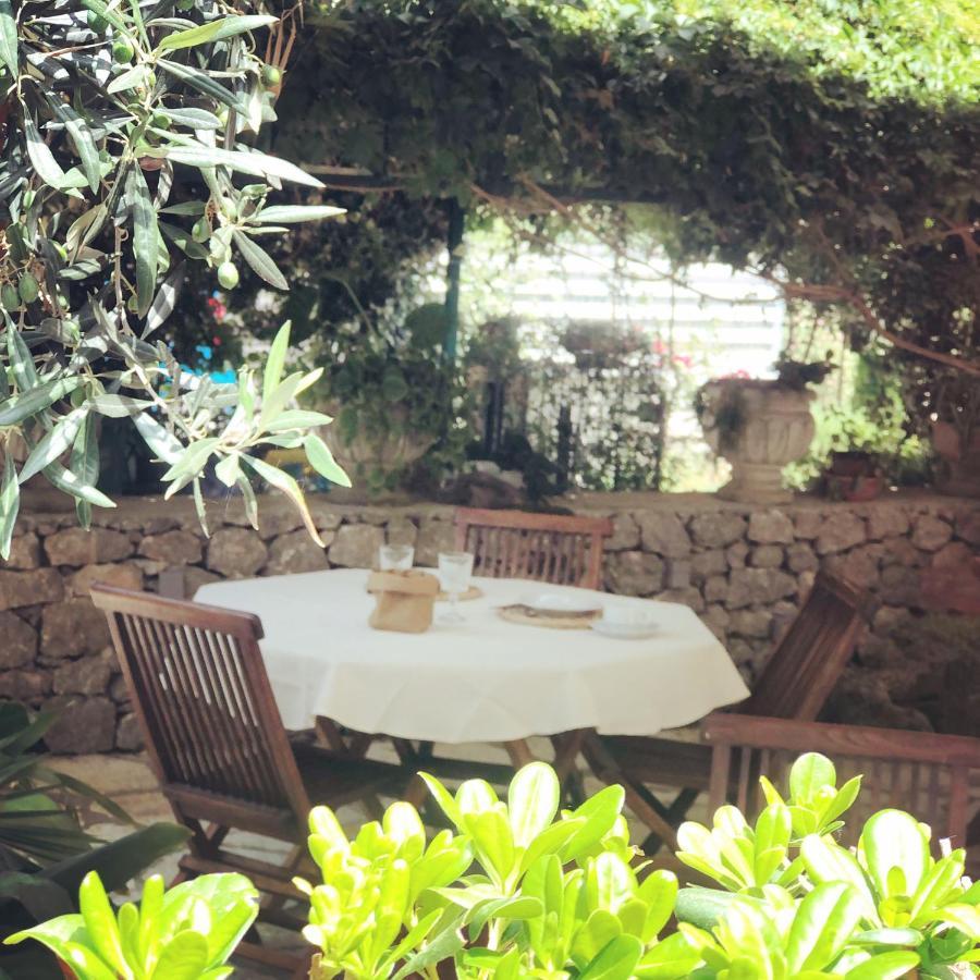 B&B Villa Alba San Vito Lo Capo Eksteriør billede