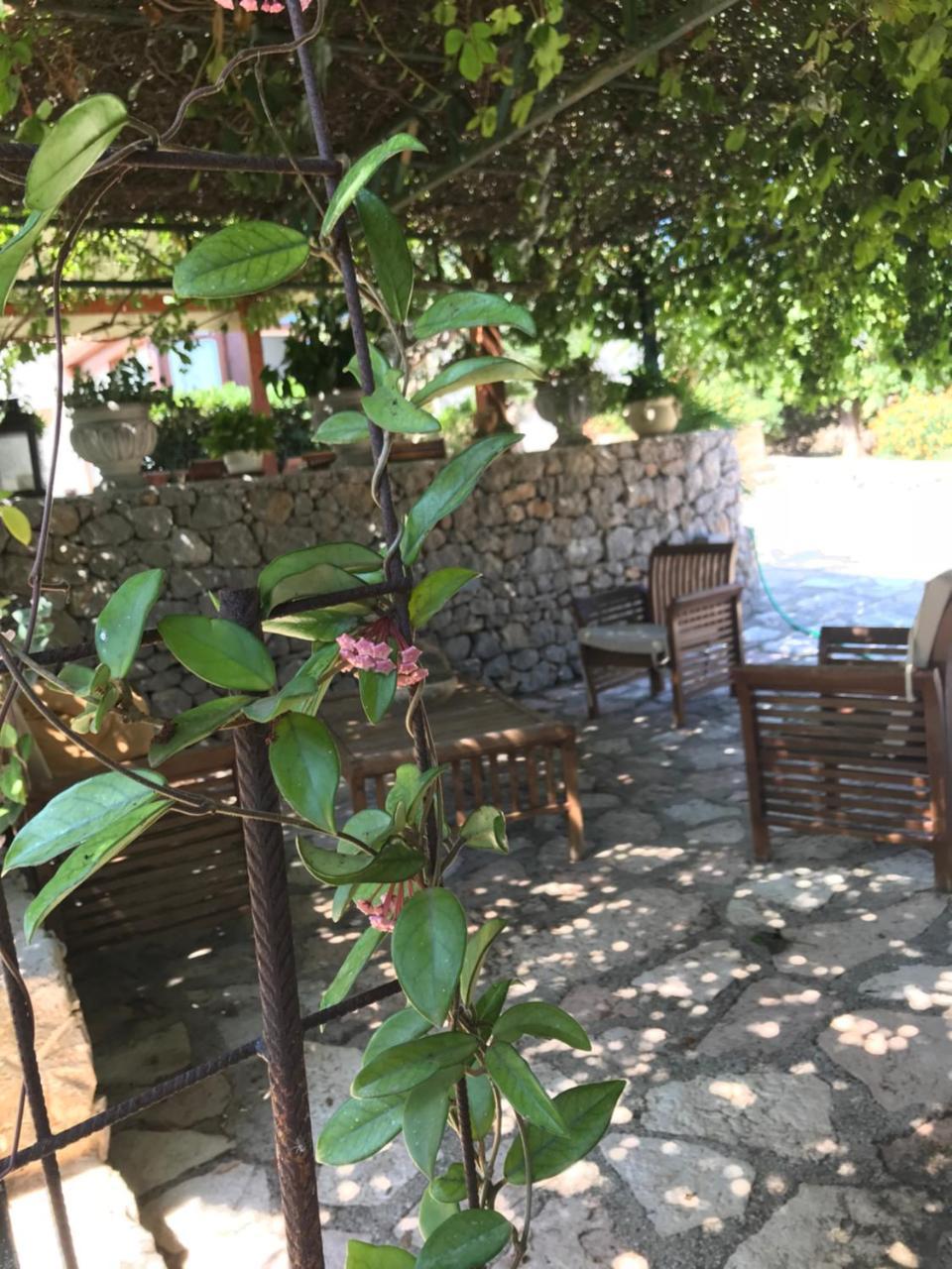 B&B Villa Alba San Vito Lo Capo Eksteriør billede